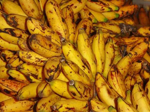 Bananen vom Markt