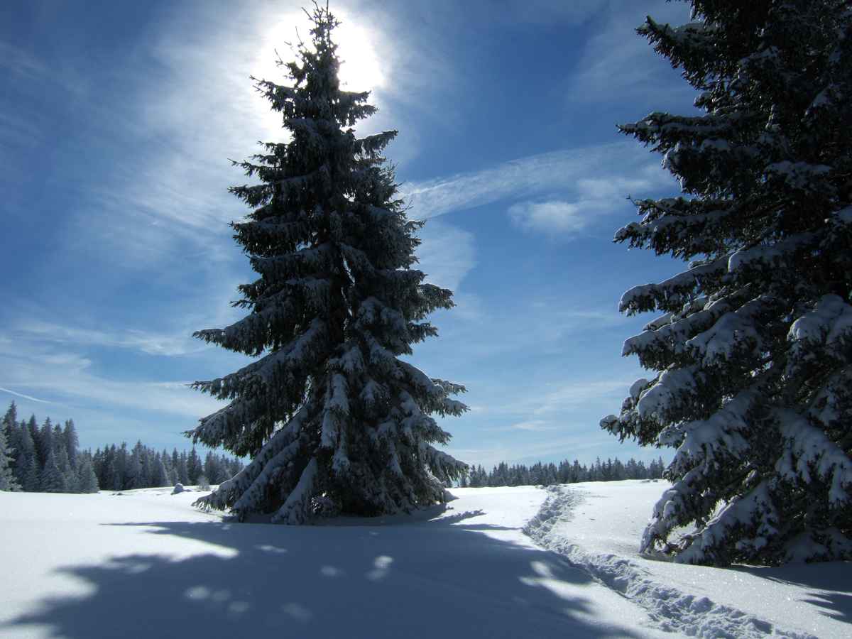Postkarten-Winterlandschaft