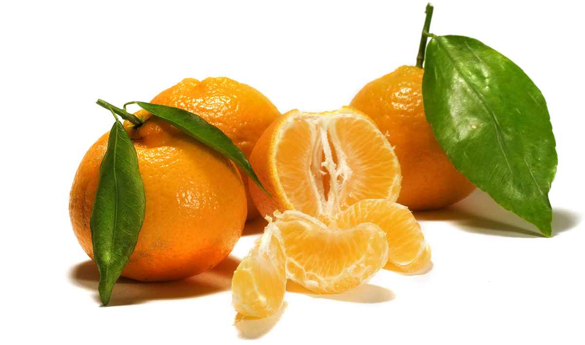 Mandarinen -1-