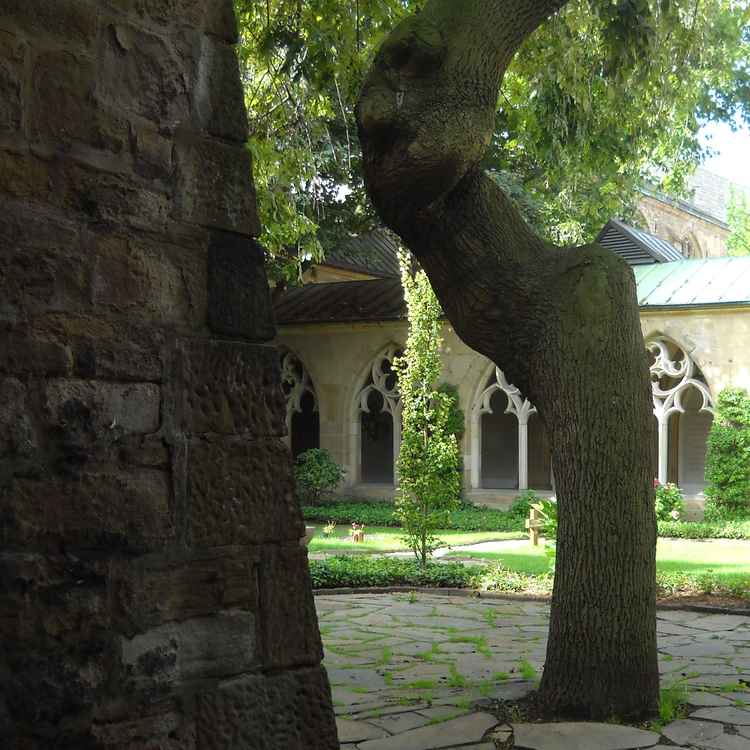 Essener Münster (2)