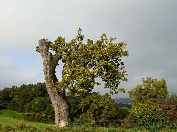 Die Sonne schläft noch 02