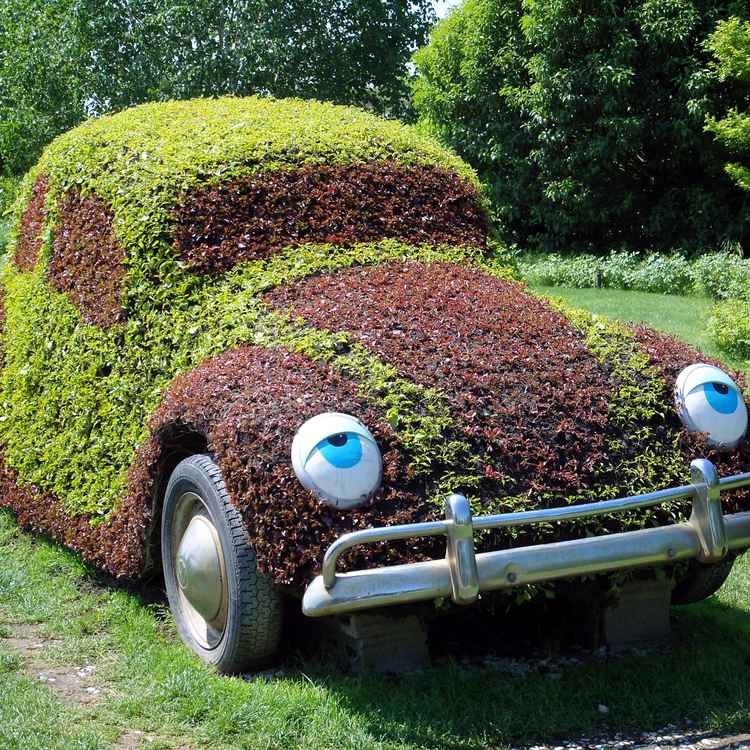 Ökologisches Fahren