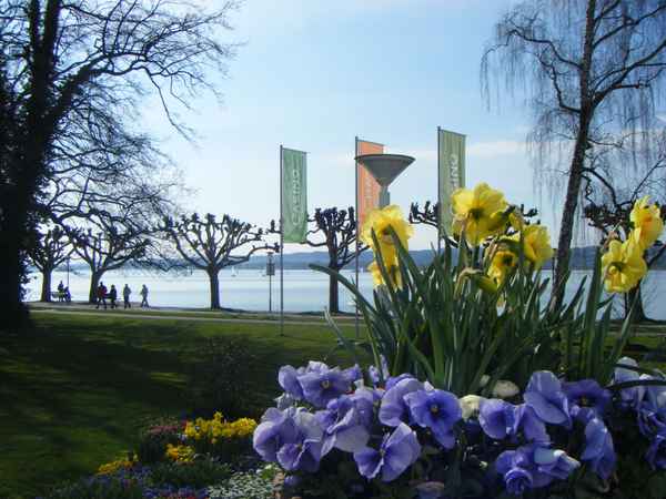 Konstanz im Fühling