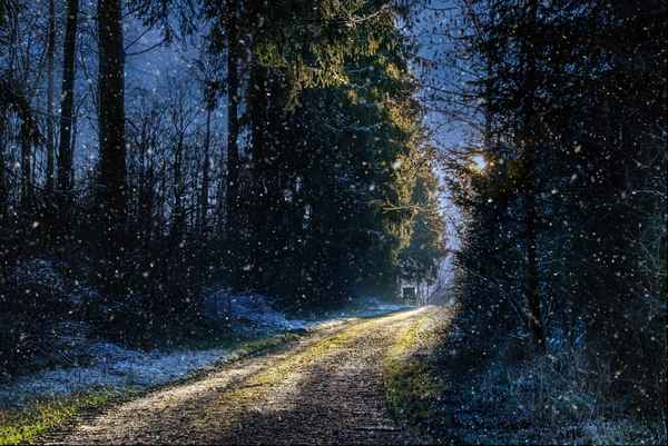 Leise rieselt der Schnee