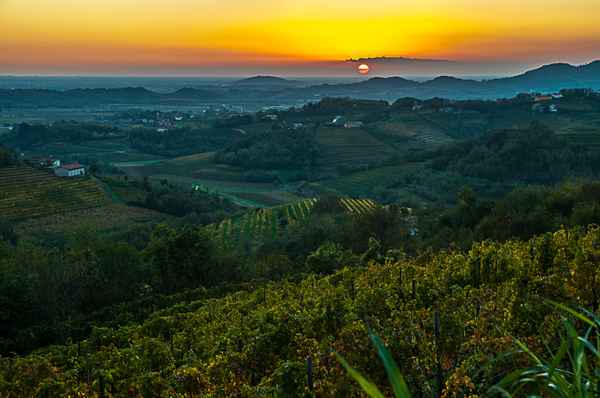Abend im Collio