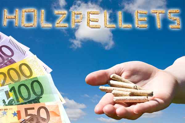 Holzpellet Förderung