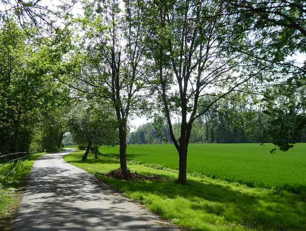 Niederrheinlandschaft