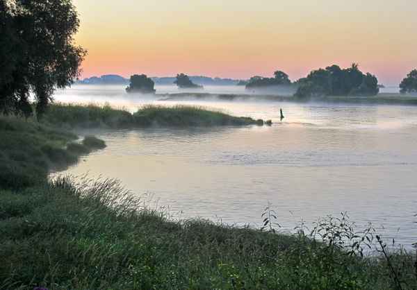Nebliger Morgen ...
