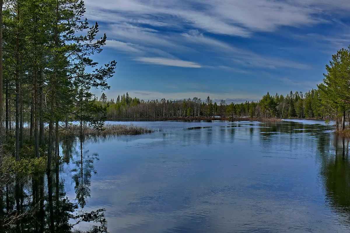 irgendwo in Schwedisch Lappland