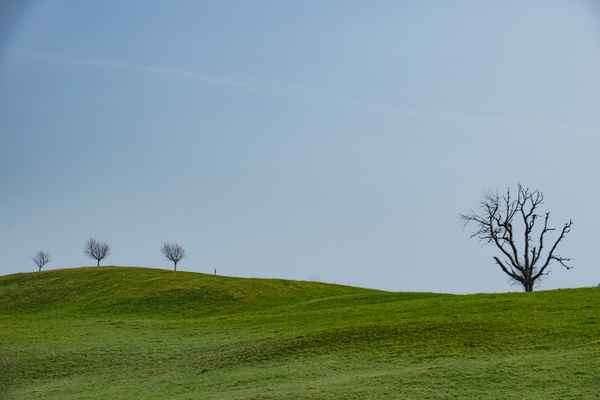 Der Grosse und die drei Kleinen