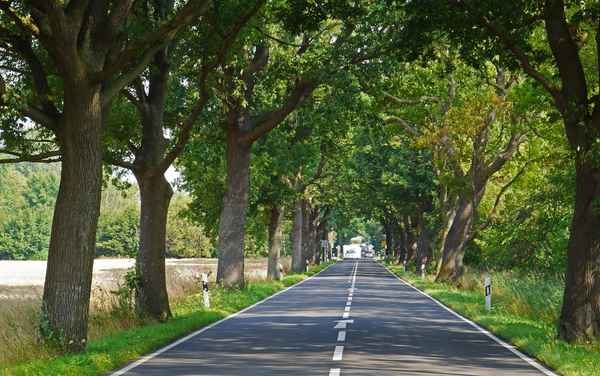 Die Deutsche Alleenstraße (II)