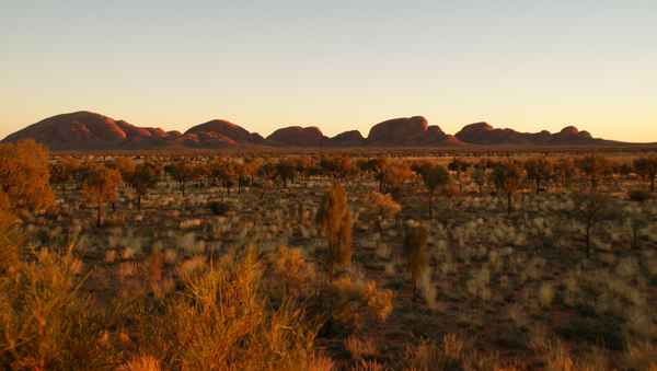 Olgas 1
