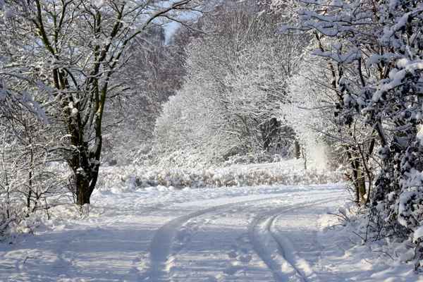 Verschneiter Weg