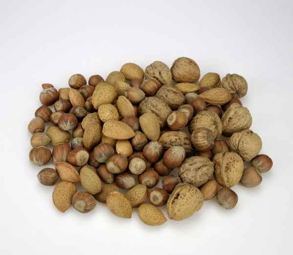 Nüsse, Nuss, Nussfrucht, Haselnüsse, Walnüsse, Mandeln