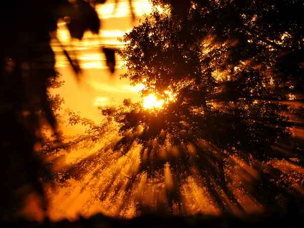 Goldener November