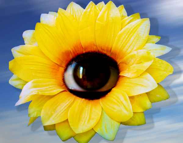 Schau mir ins Auge