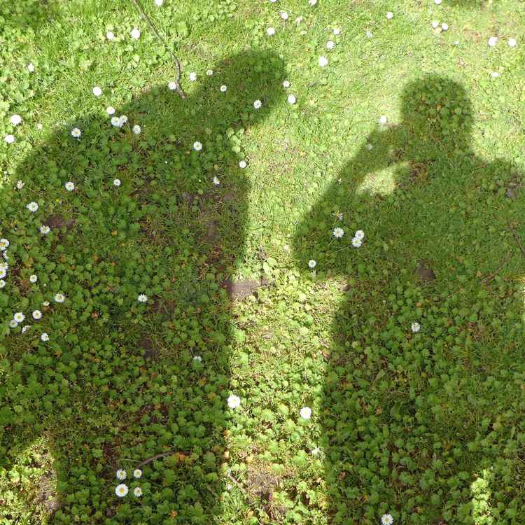 Schattenbilder auf grüner Wiese
