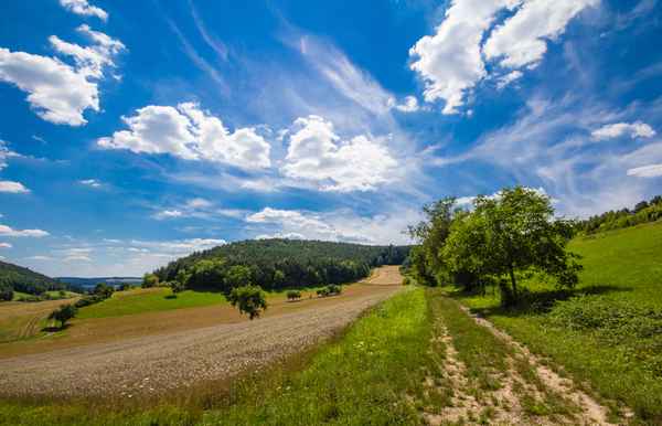 Sommerhitze