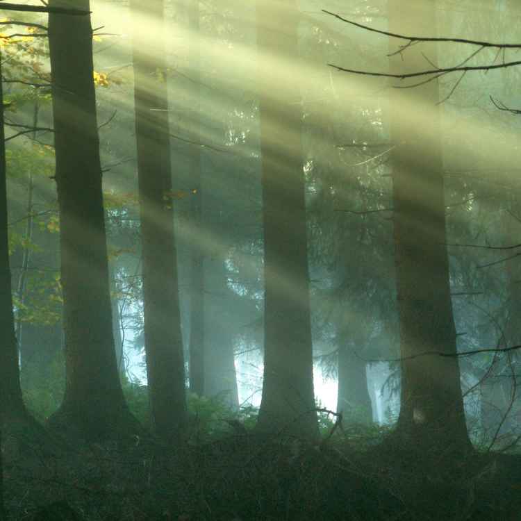 Lichtblick