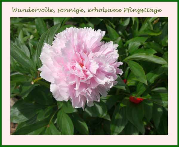 Pfingsten