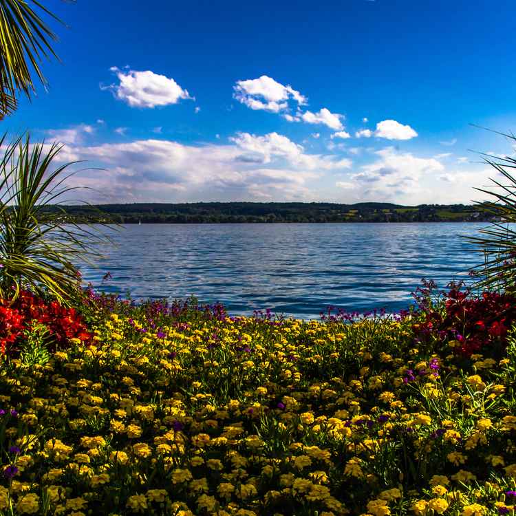 Südseeflair am Bodensee in Überlingen
