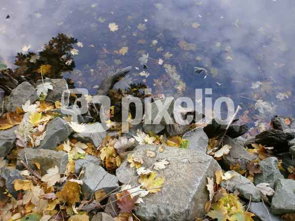 Herbst am Wolfssee