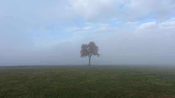 Nebel im Odenwald