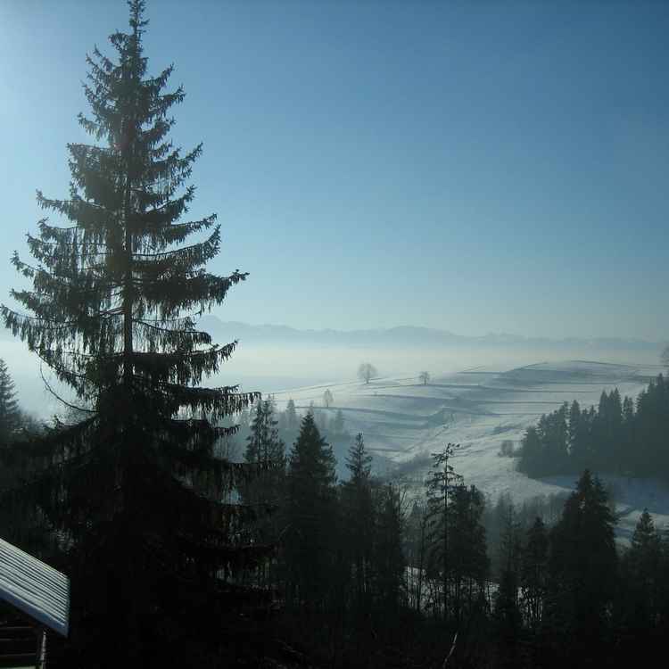 Winterlandschaftstraum 01