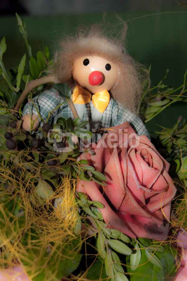 Die Faschingsrose