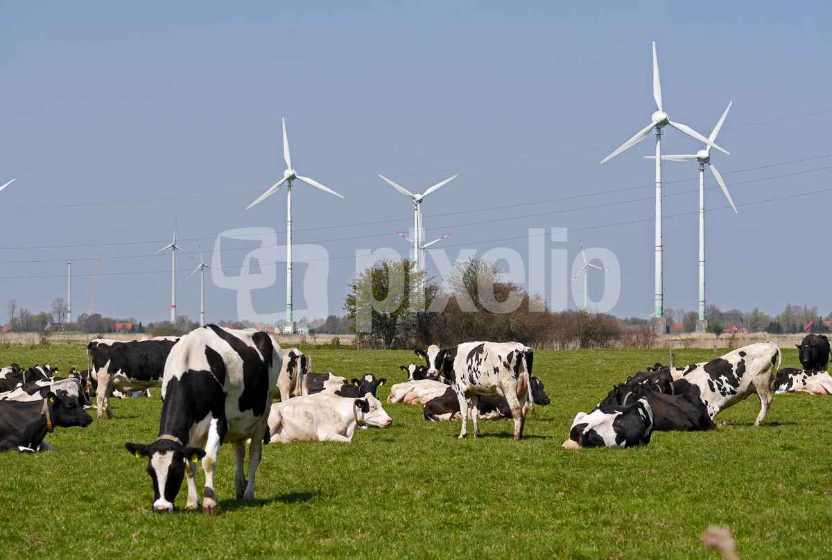 Ostfriesland