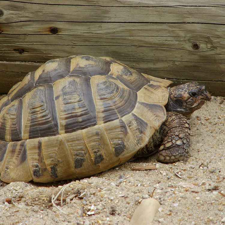 Meine beste Freundin