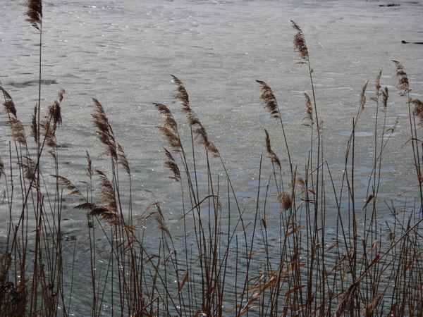 der Sommer ist vorbei