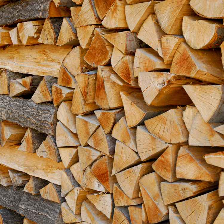 Brennholz2