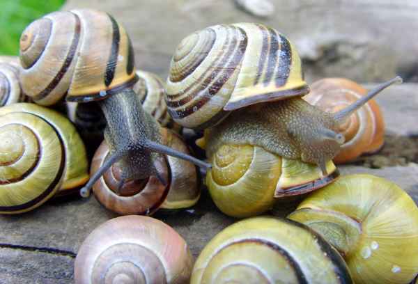 Los, lass uns abhauen....