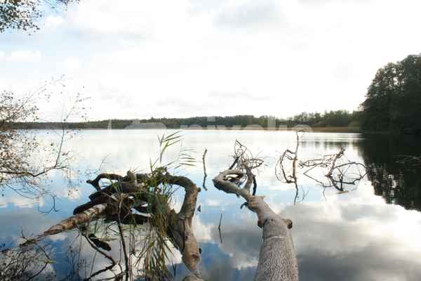 Schaalsee - 01