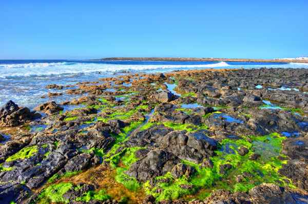 Lavaküste bei La Santa