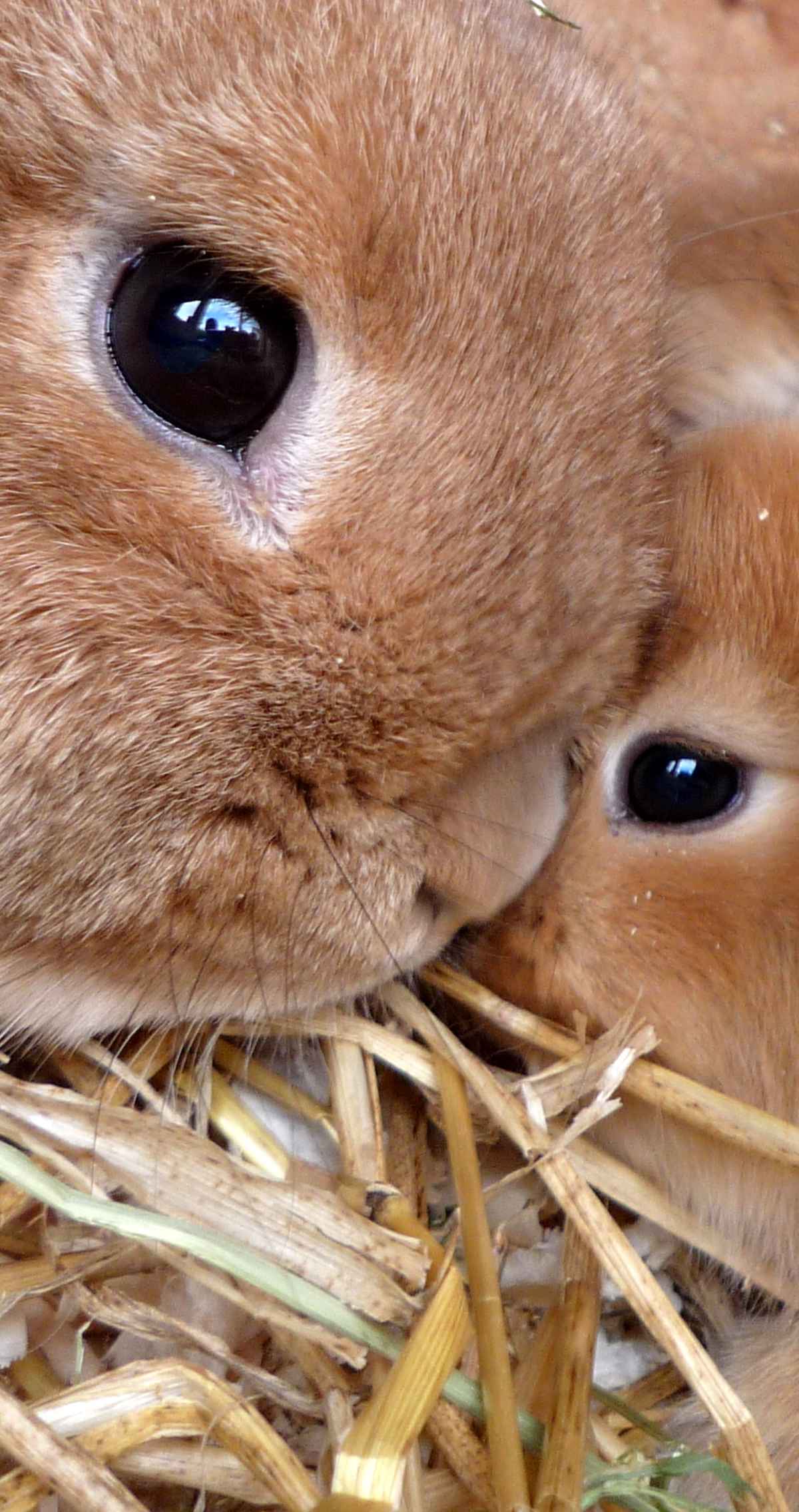 Ist es Liebe?
