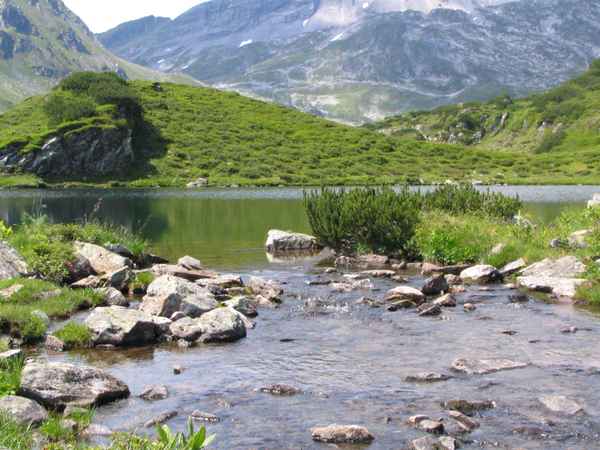 Sommer im Hochgebirge23