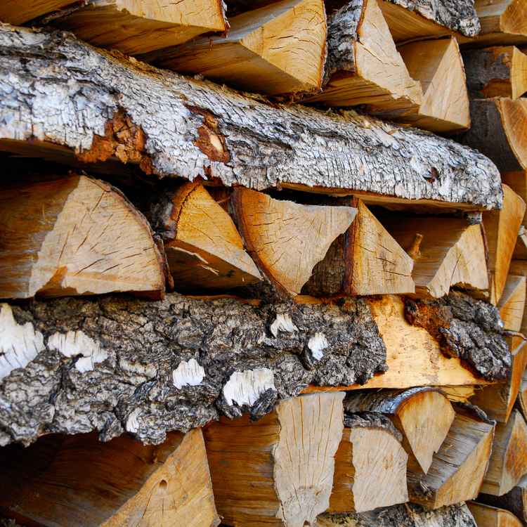 Brennholz3