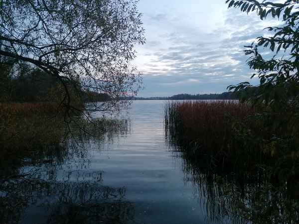 Abendstimmung an der Müritz