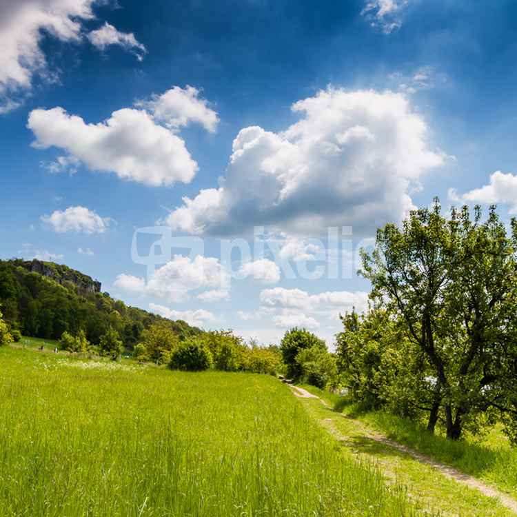 Maiwanderung