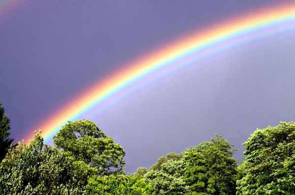 Regenbogen