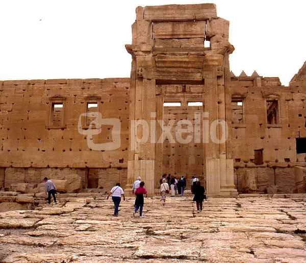 Palmyra