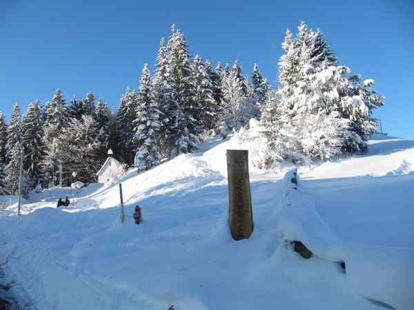Im Schnee versunken