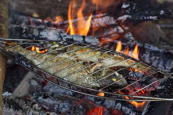 Fisch-Kebab