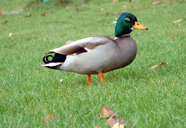 Irgendwie seh ich schlecht