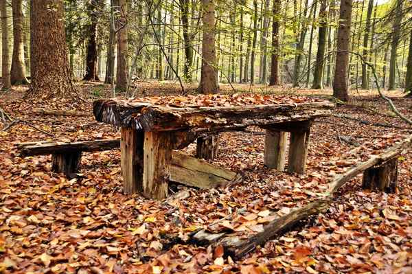 Rastplatz, der Natur überlassen