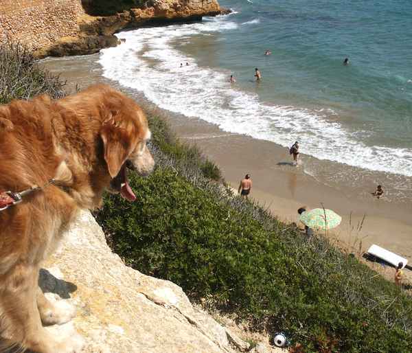 Das Meer ist so nah!