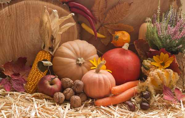 Herbstfrüchte
