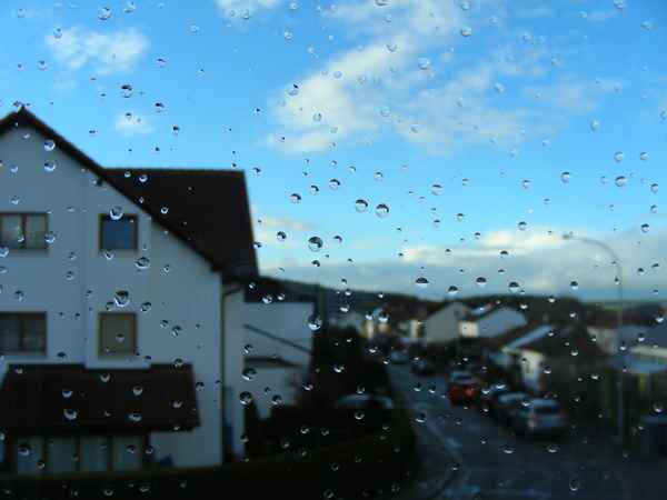 Fensterblick